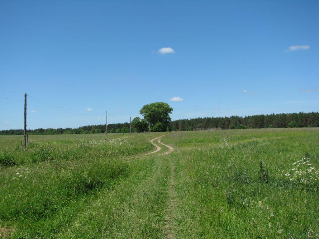 Уланове з panoramio.com - Уланове