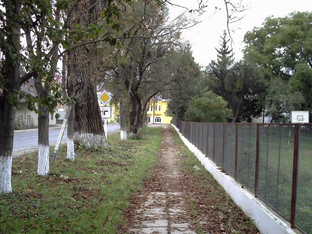 Вилок з panoramio.com - Вилок