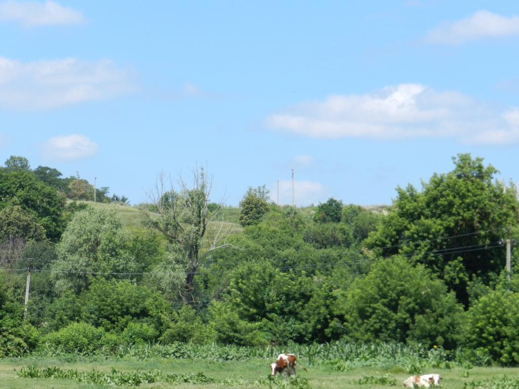 Яцини з panoramio.com - Яцини