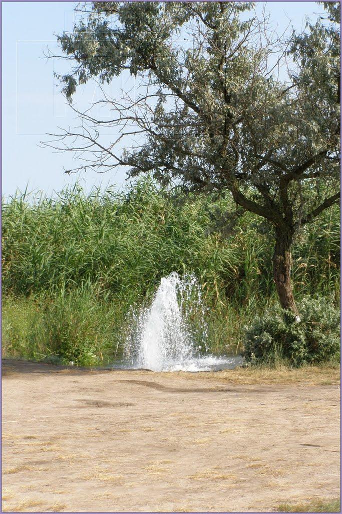 Максима Горького з panoramio.com - Максима Горького