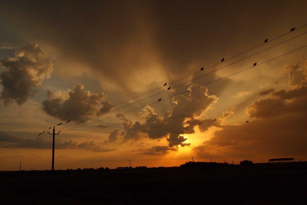 Чистоводне з panoramio.com - Чистоводное