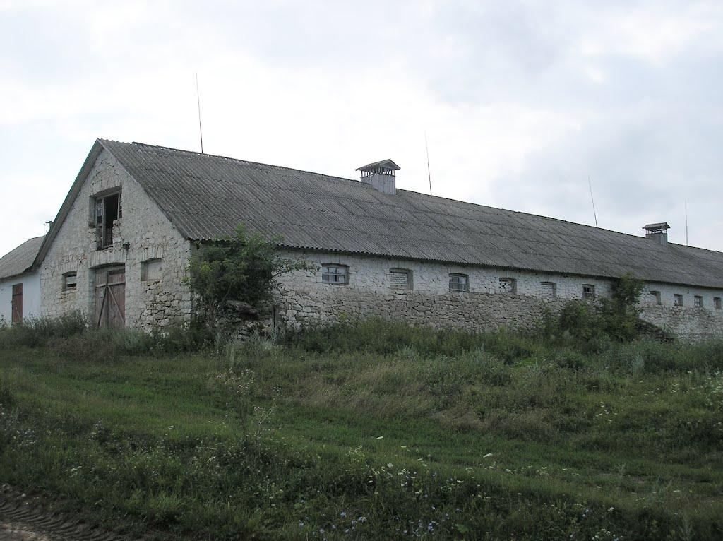 Знаменівка з panoramio.com - Знаменівка