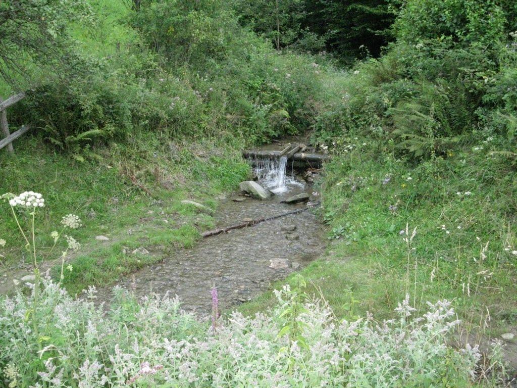 Вишка з panoramio.com - Vyshka