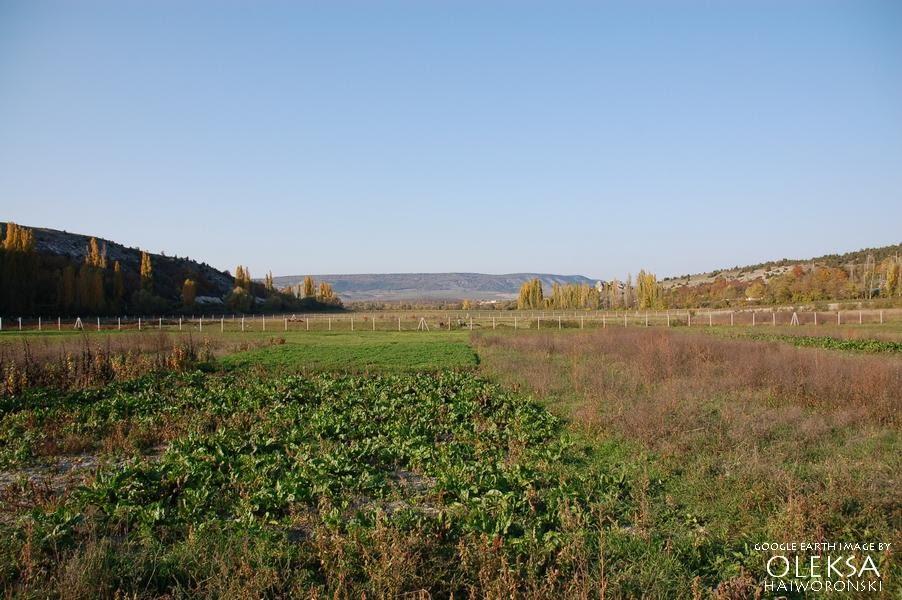 Красний Мак з panoramio.com - Красный Мак