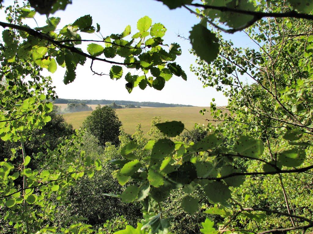 Червона Зірка з panoramio.com - Chervona Zirka