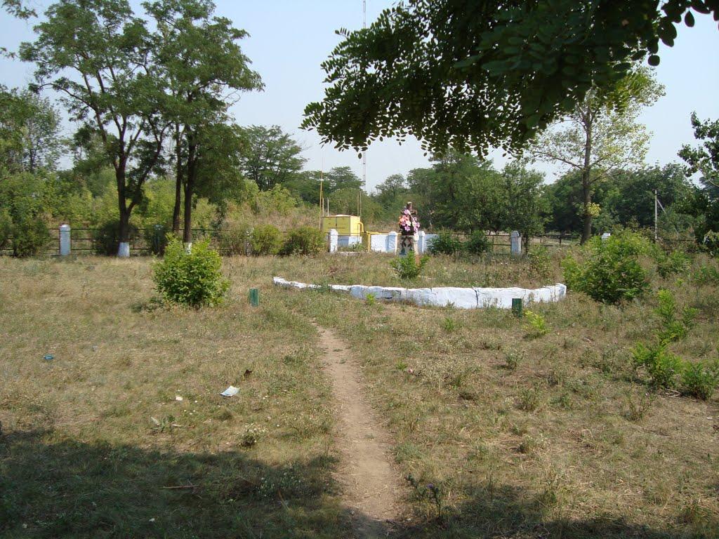 Весняна Квітка з panoramio.com - Весняна Квітка