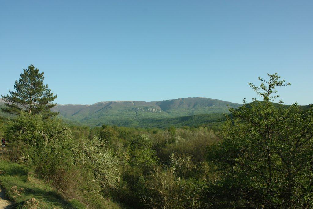 Щасливе з panoramio.com - Счастливое