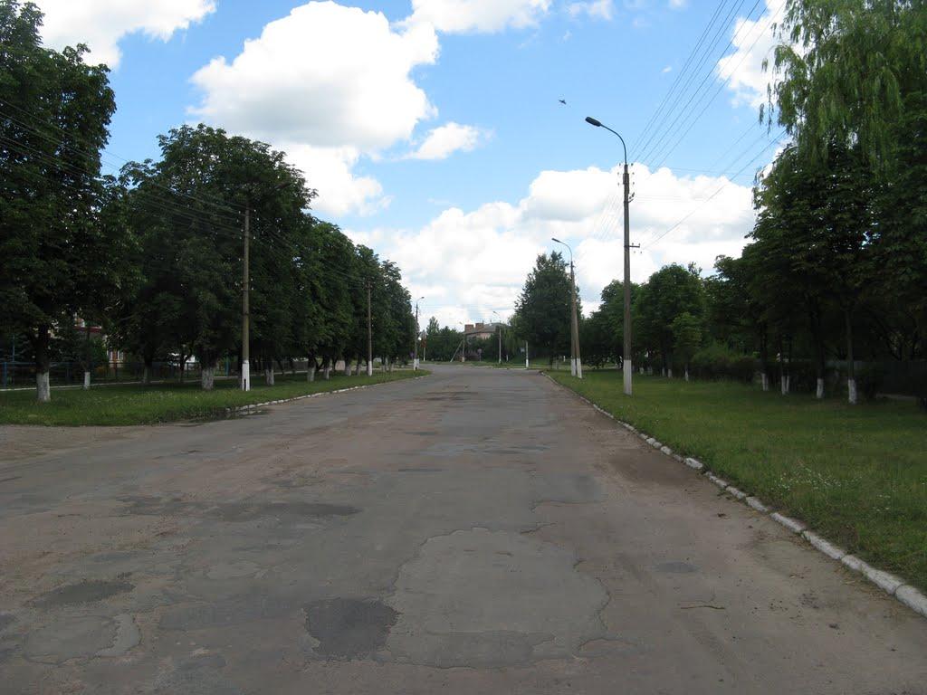 Срібне з panoramio.com - Сребное