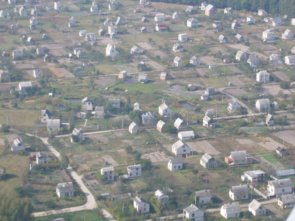 Жабка з panoramio.com - Жабка