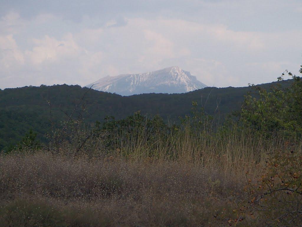 Синапне з panoramio.com - Синапне
