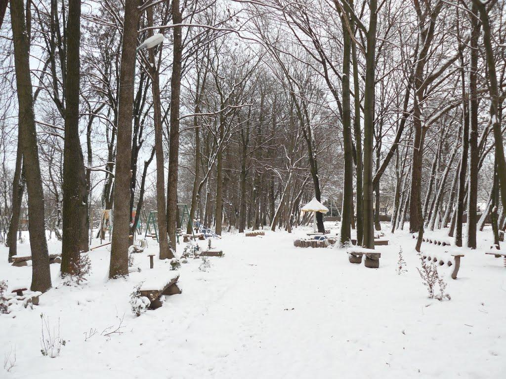 Копичинці з panoramio.com - Копычинцы