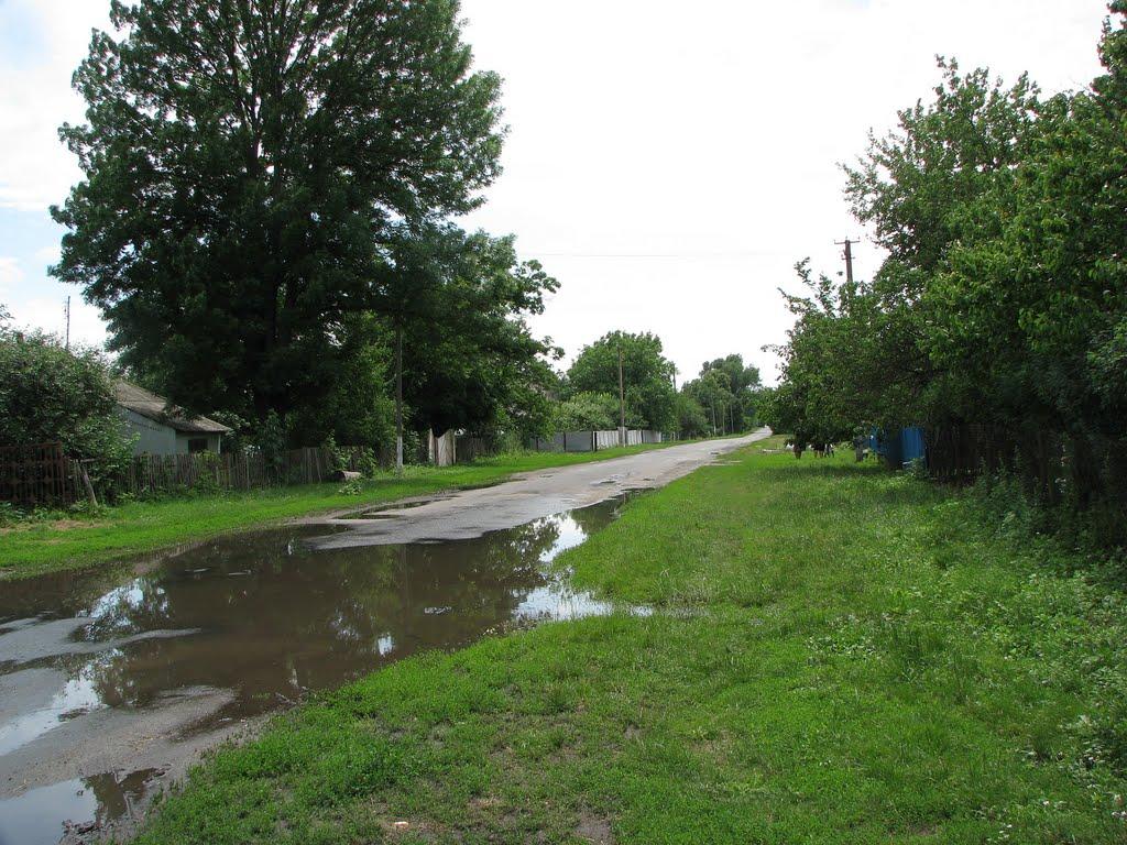 Демидівка з panoramio.com - Демидівка