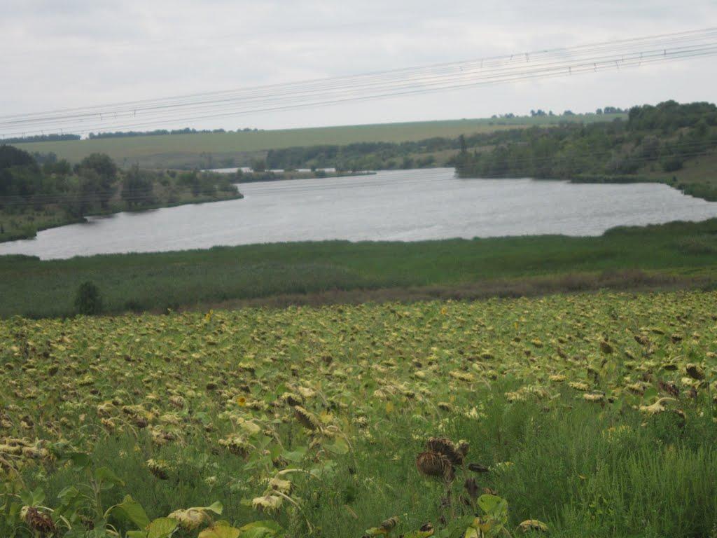 Козакова Балка з panoramio.com - Козакова Балка