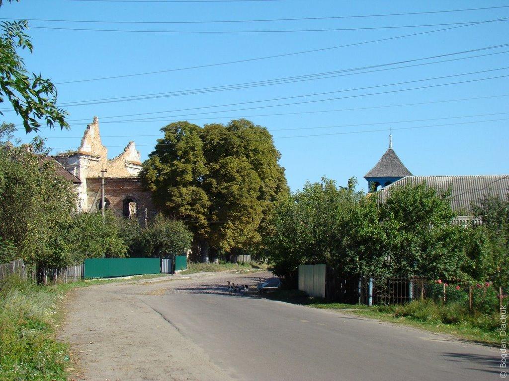 Луків з panoramio.com - Луків