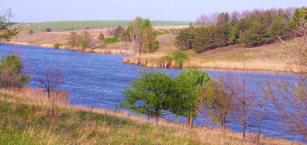 Шестакове з panoramio.com - Шестаково