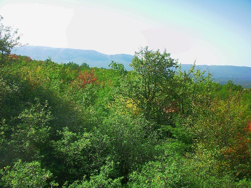 Плотинне з panoramio.com - Плотинное