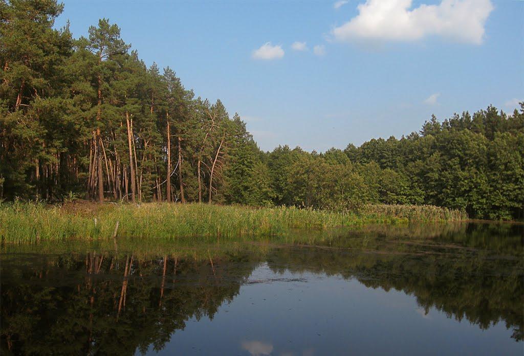 Червоний Шахтар з panoramio.com - Червоный Шахтер