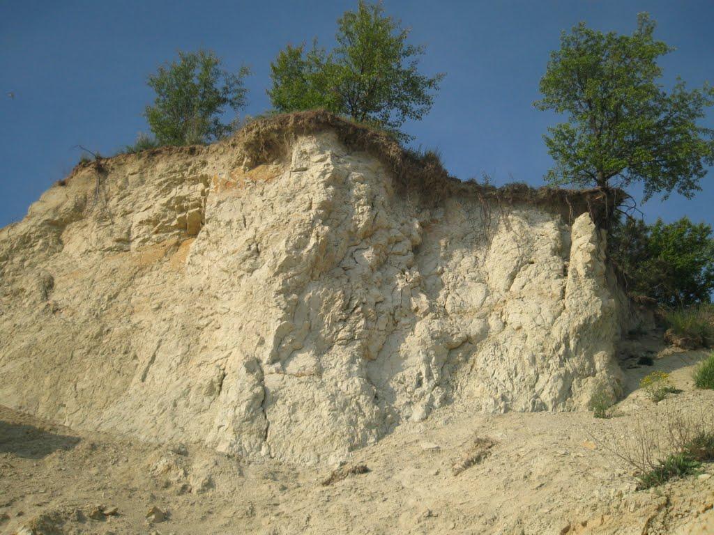 Максимівка з panoramio.com - Максимівка