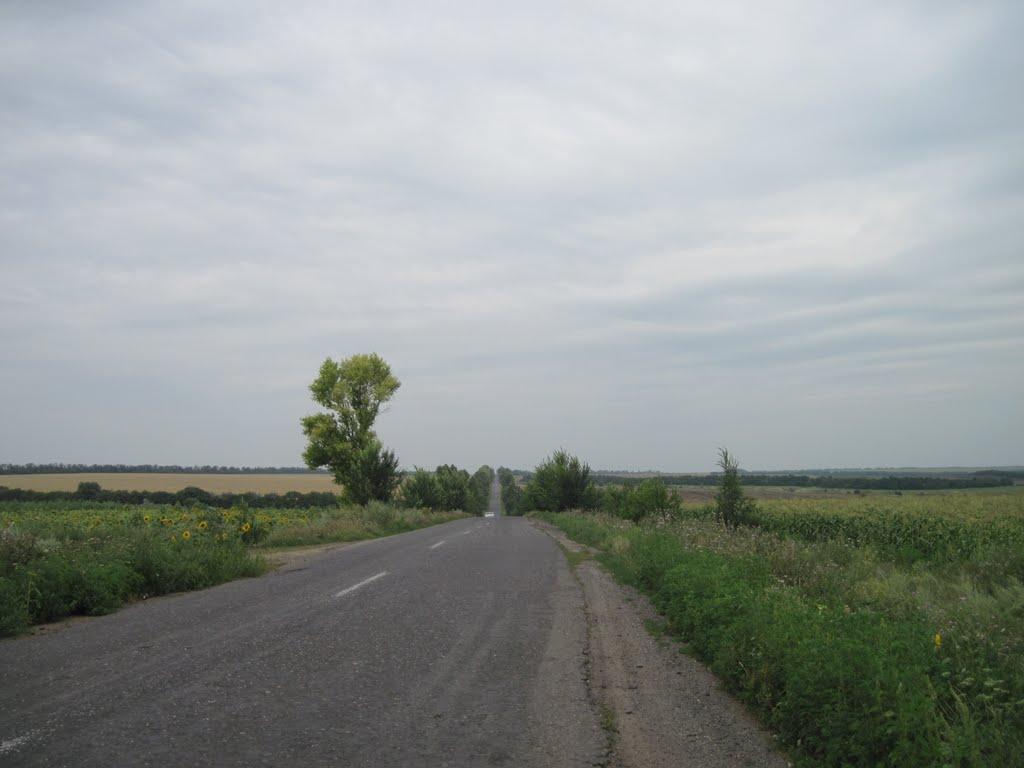Лозуватка з panoramio.com - Лозуватка