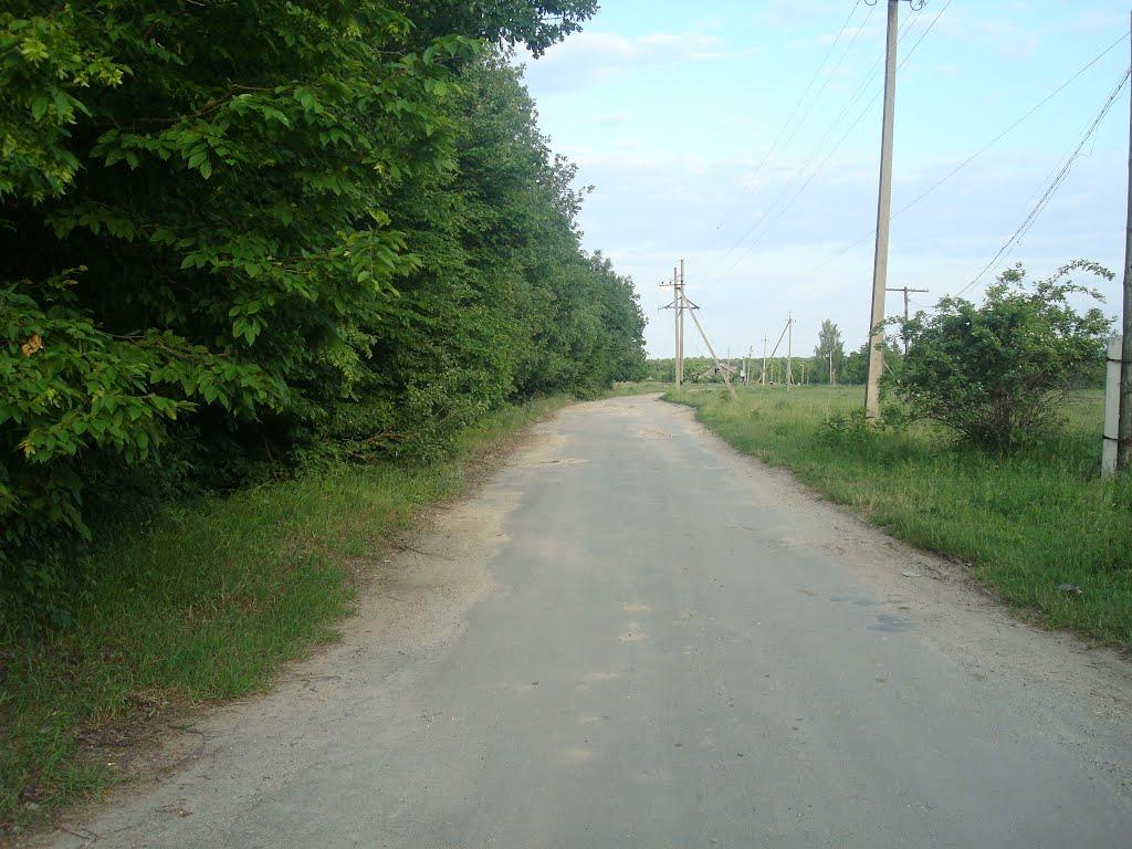 Ставчани з panoramio.com - Ставчаны
