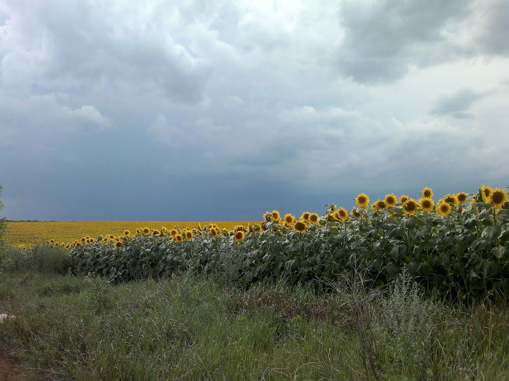 Морозівка з panoramio.com - Морозовка