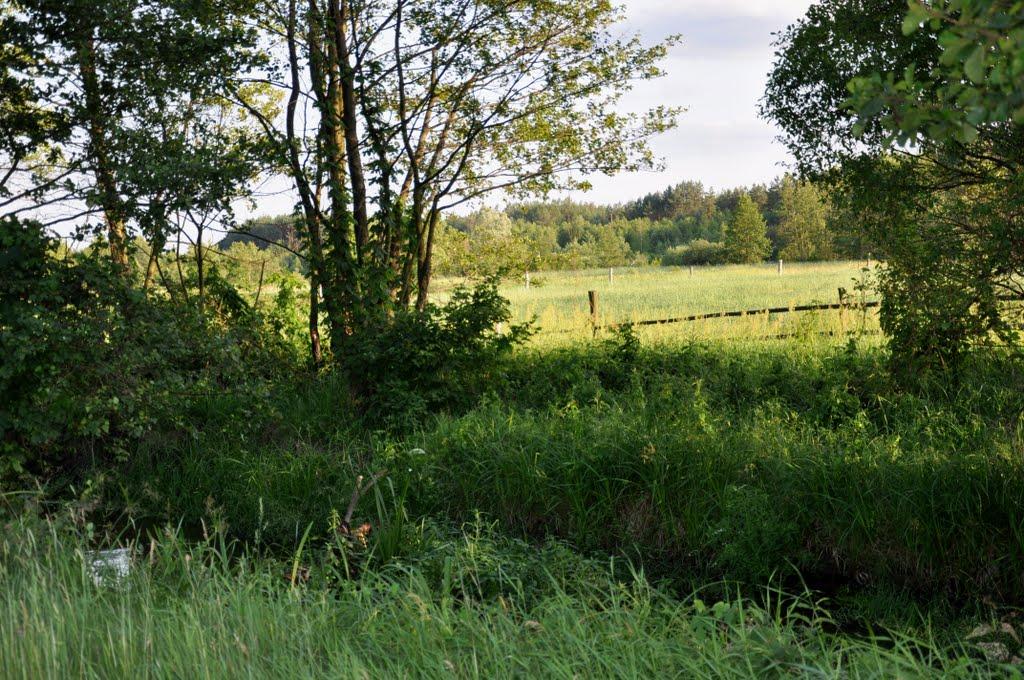 Рудня-Шпилівська з panoramio.com - Рудня-Шпилевская