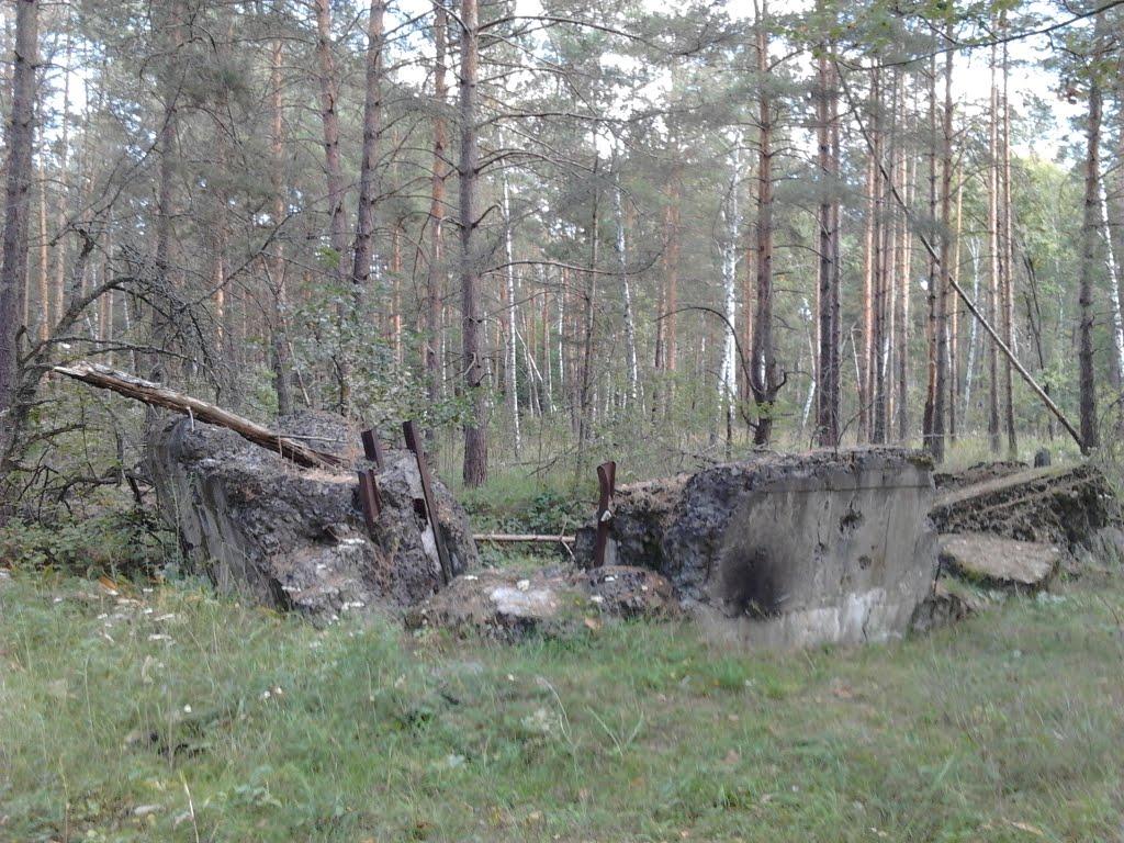 Гута-Межигірська з panoramio.com - Guta-Mezhygirska