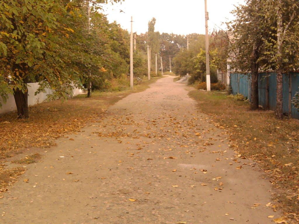 Добронадіївка з panoramio.com - Добронадиевка