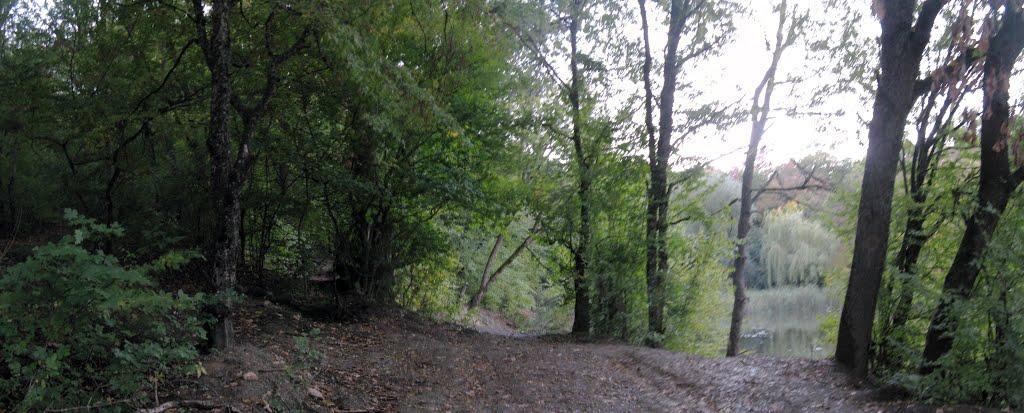 Перевальне з panoramio.com - Перевальное