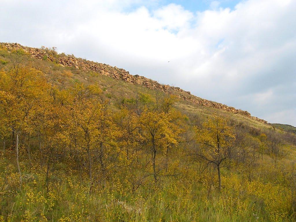 Кам'янка з panoramio.com - Каменка