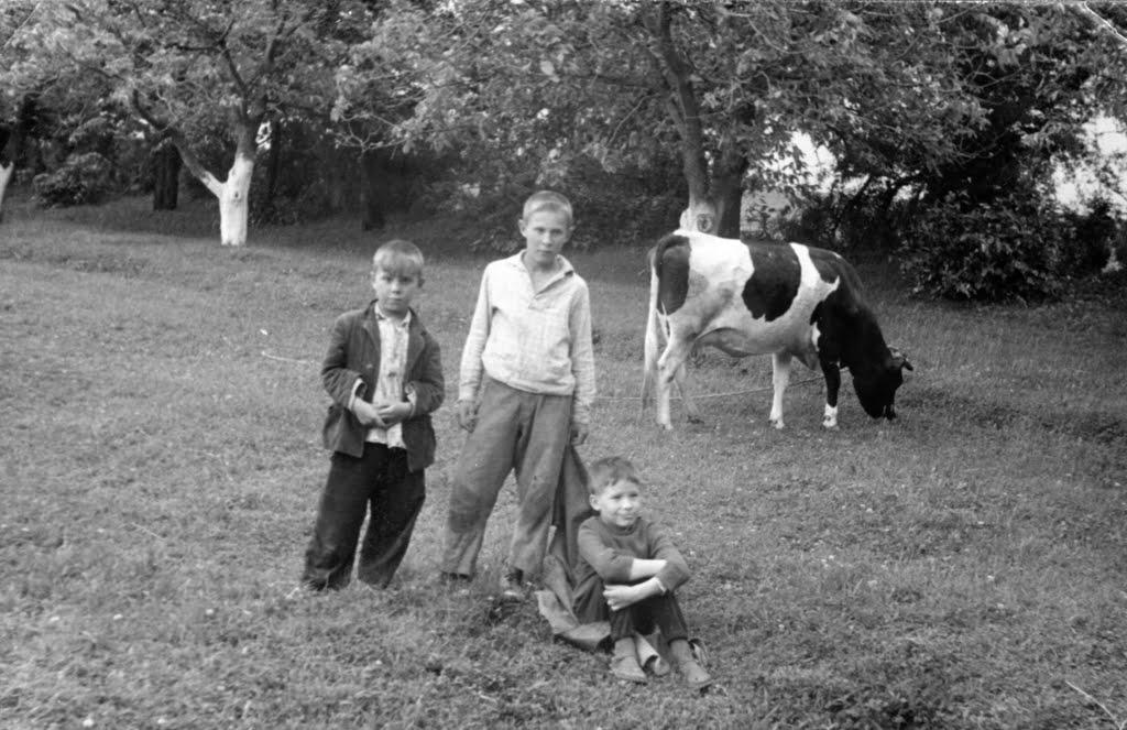 Удріївці з panoramio.com - Удріївці