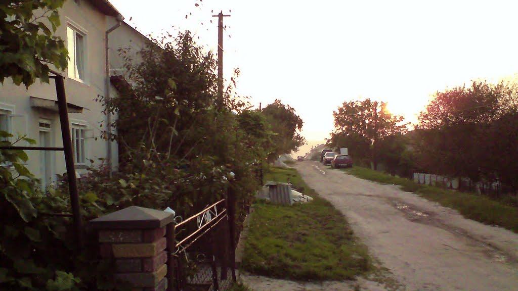 Лісники з panoramio.com - Лесники