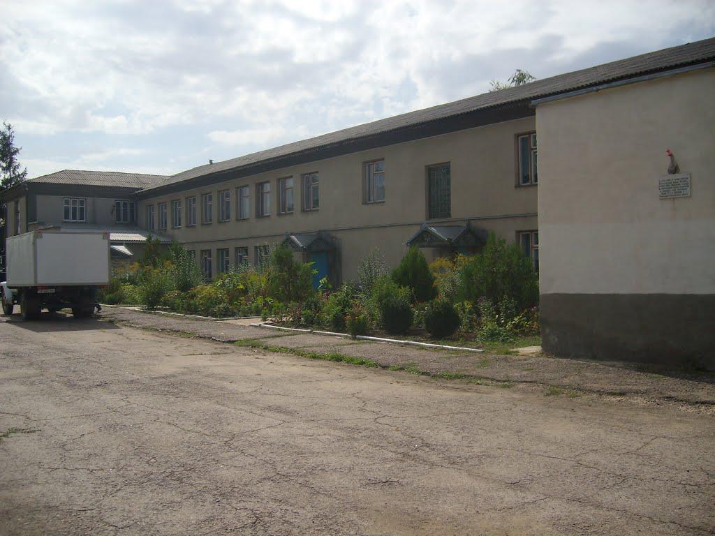 Федосіївка з panoramio.com - Федосеевка