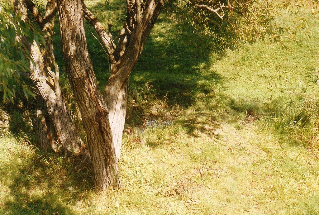 Обухів з panoramio.com - Обухів