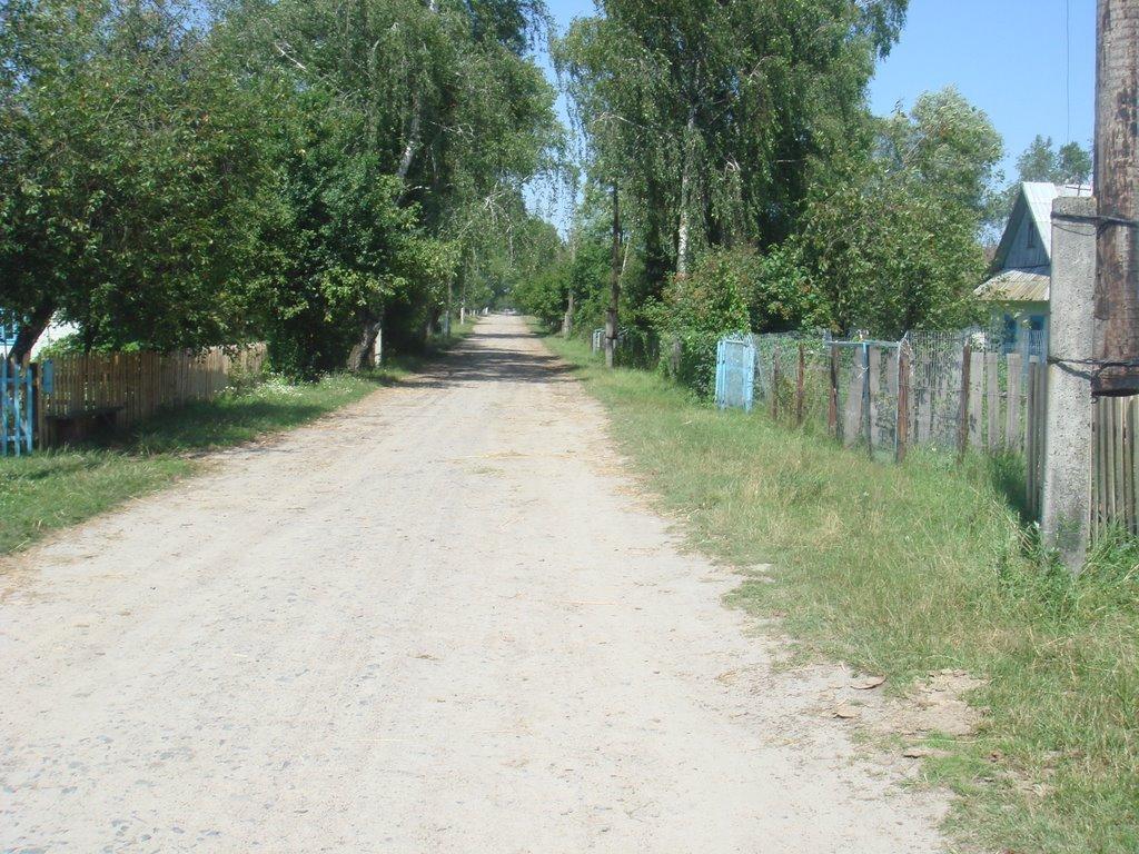 Куликовичі з panoramio.com - Kulykovychi