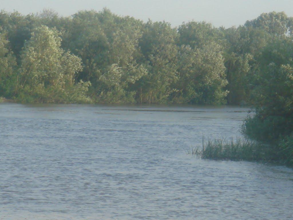 Куликовичі з panoramio.com - Куликовичі