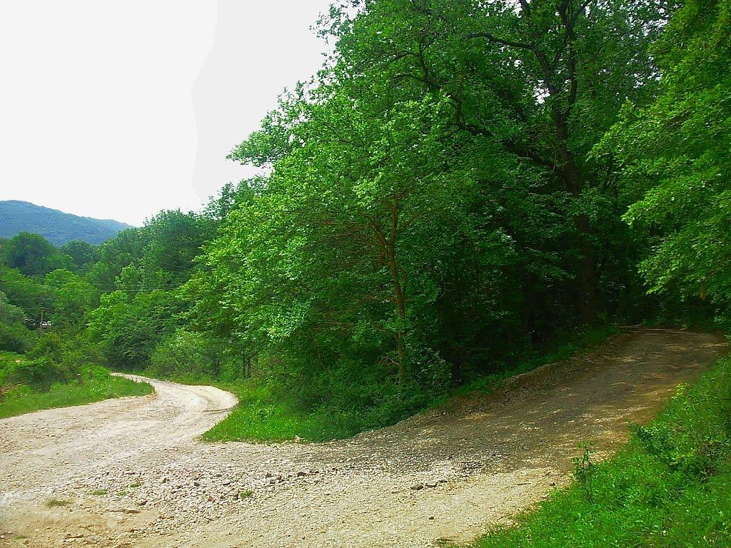 Краснолісся з panoramio.com - Краснолесье