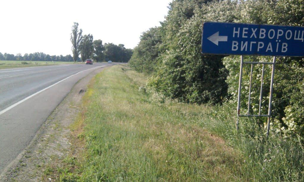 Ситники з panoramio.com - Ситники