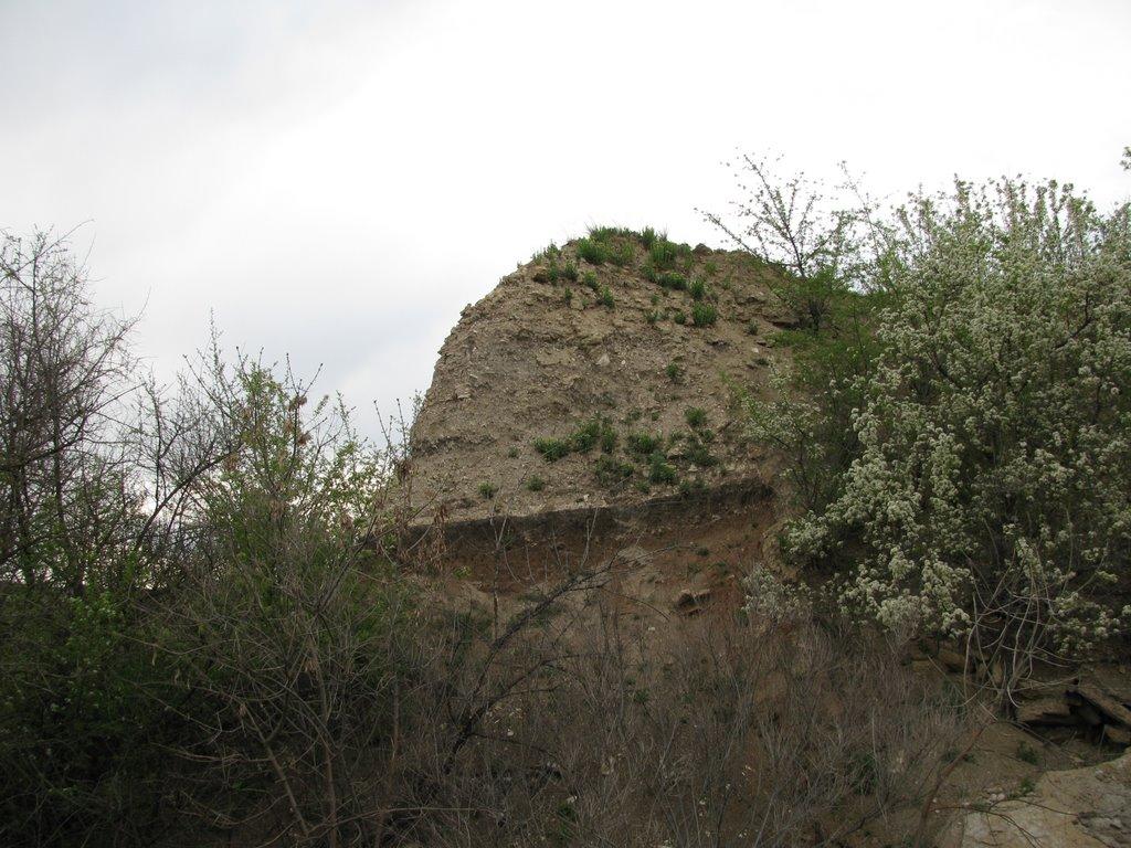 Маложенівка з panoramio.com - Маложенівка