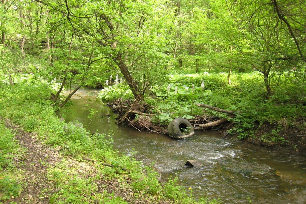 Микитівка з panoramio.com - Никитовка