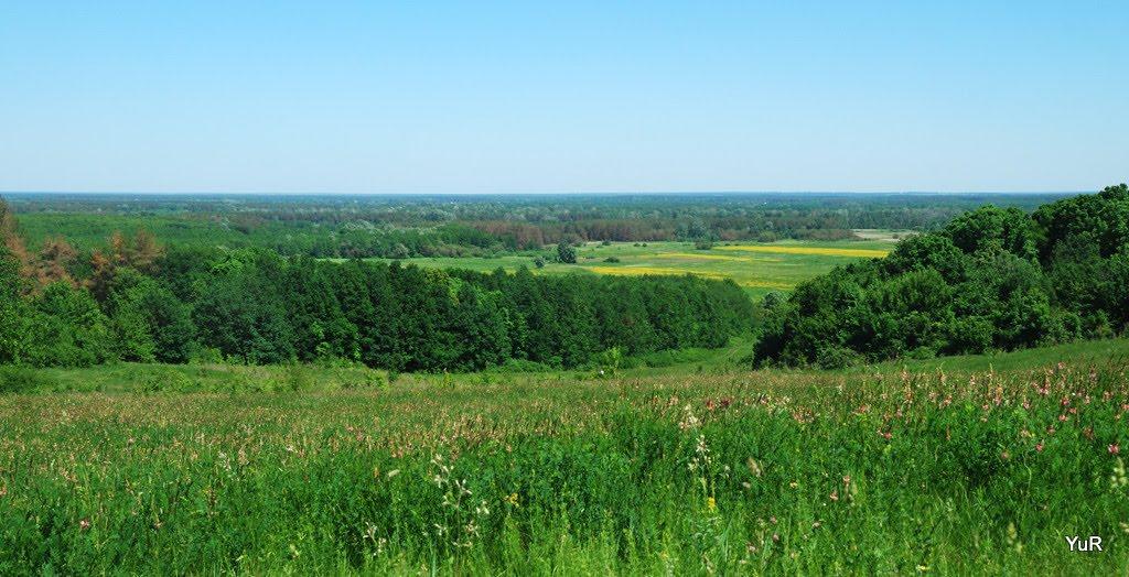Опішня з panoramio.com - Опошня