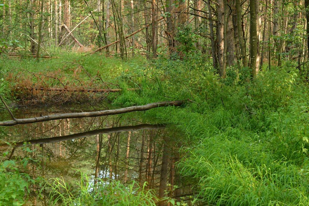 Глібівка з panoramio.com - Glibivka