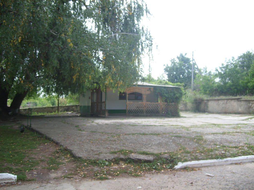 Федосіївка з panoramio.com - Федосеевка