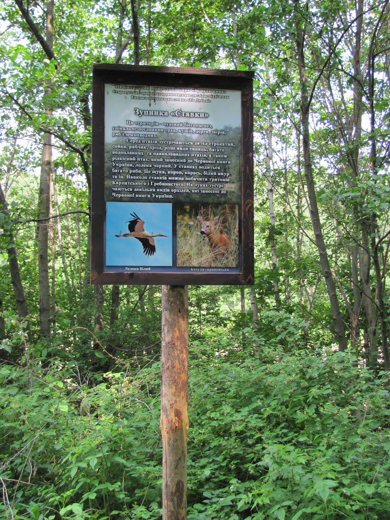 Старі Кути з panoramio.com - Старые Куты