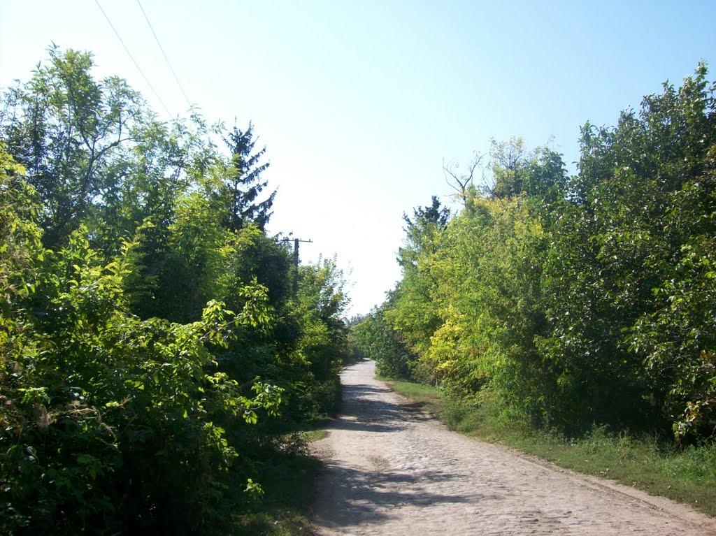 Вовчок з panoramio.com - Волчок