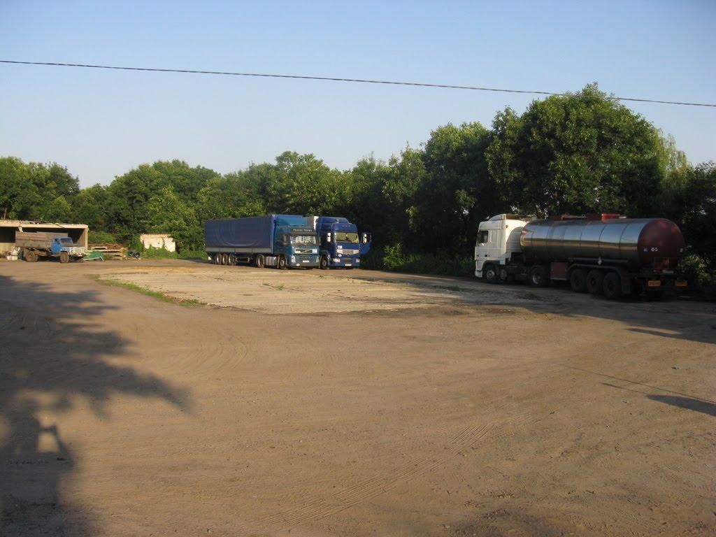 Вишнева з panoramio.com - Вишнева