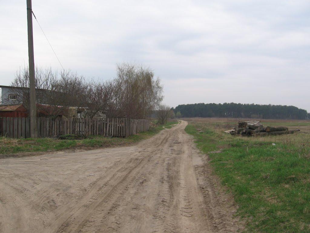 Чернігів з panoramio.com (ч.5) - Чернігів