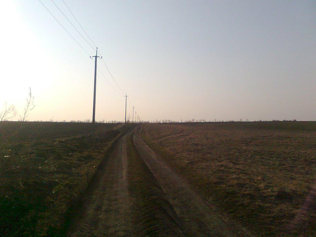 Миколаївські Сади з panoramio.com - Миколаївські Сади