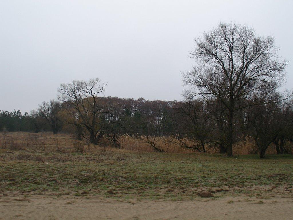 Саги з panoramio.com - Саги