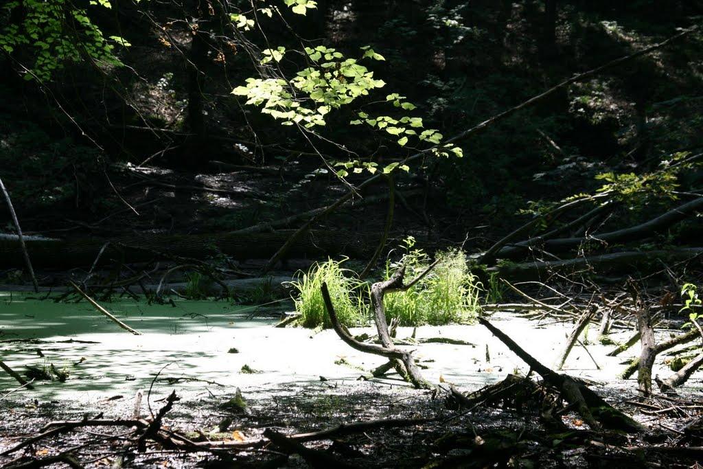 Орджонікідзе з panoramio.com - Орджоникидзе